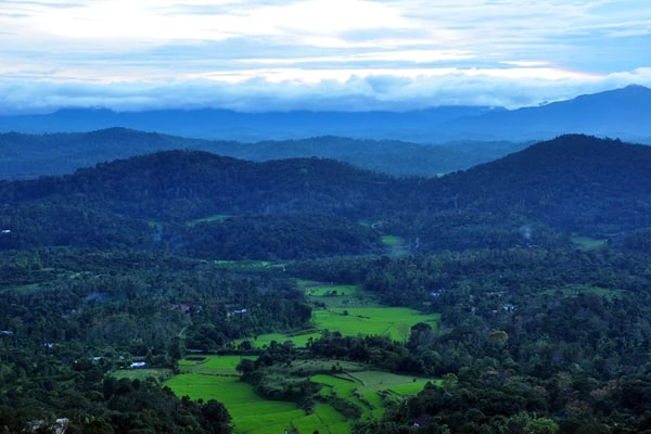 Coorg