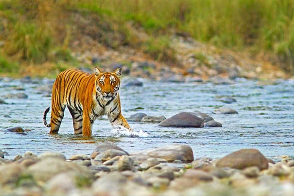 Corbett Hotels - Long Stay Hotel Booking