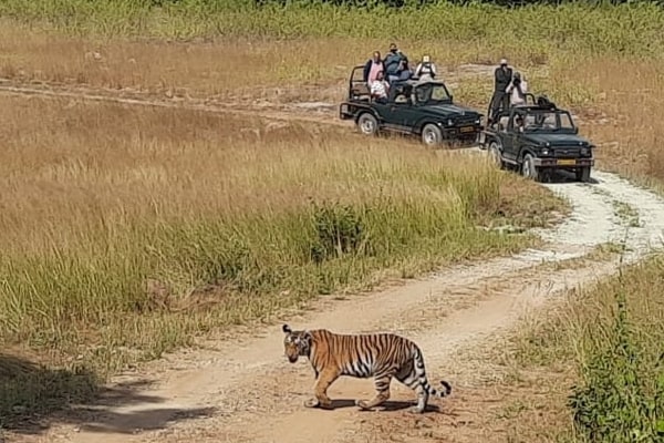 Resorts in Madhya Pradesh